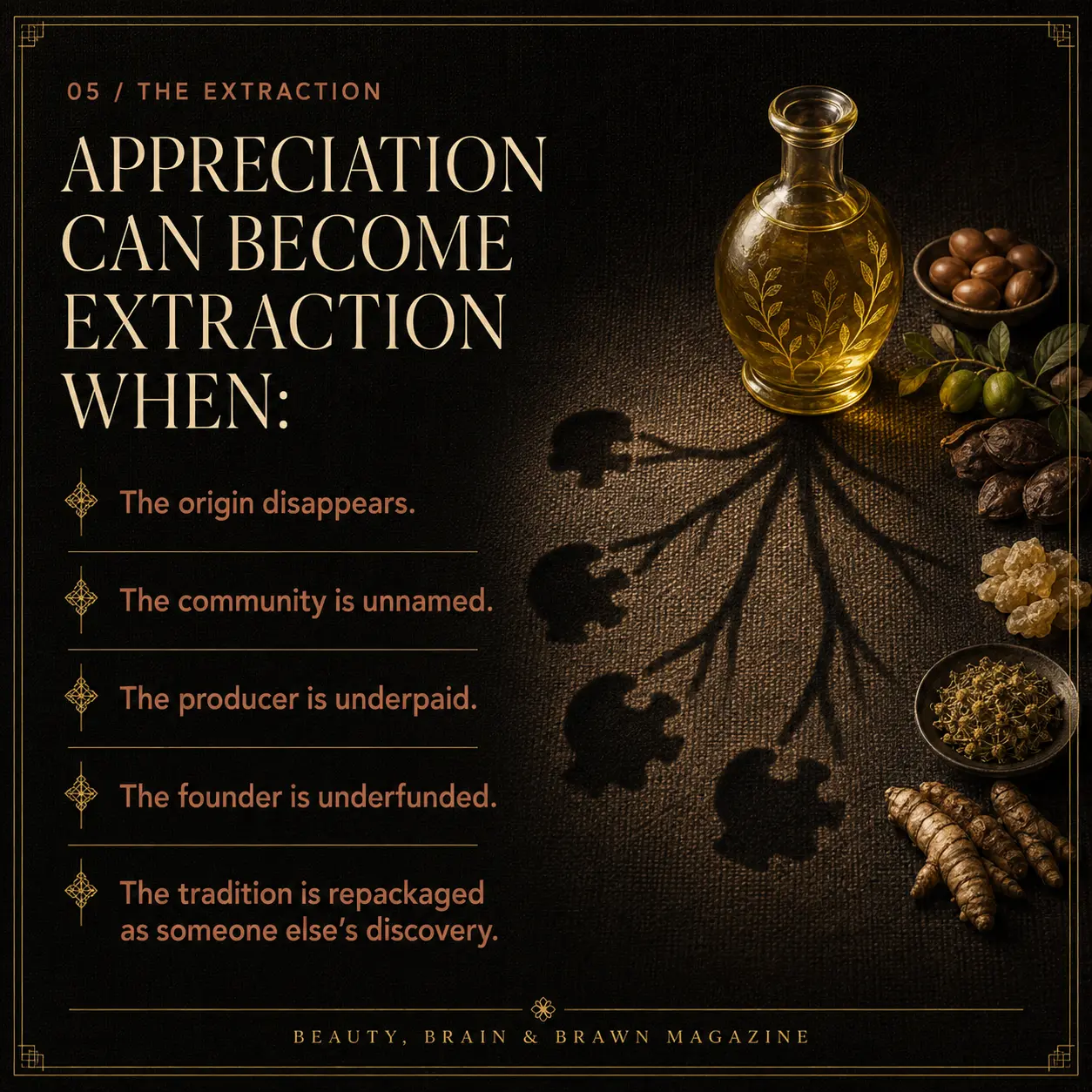 Slide 5. The Extraction: appreciation can become extraction when the origin disappears, the community is unnamed, the producer is underpaid, the founder is underfunded and the tradition is repackaged as someone else's discovery.