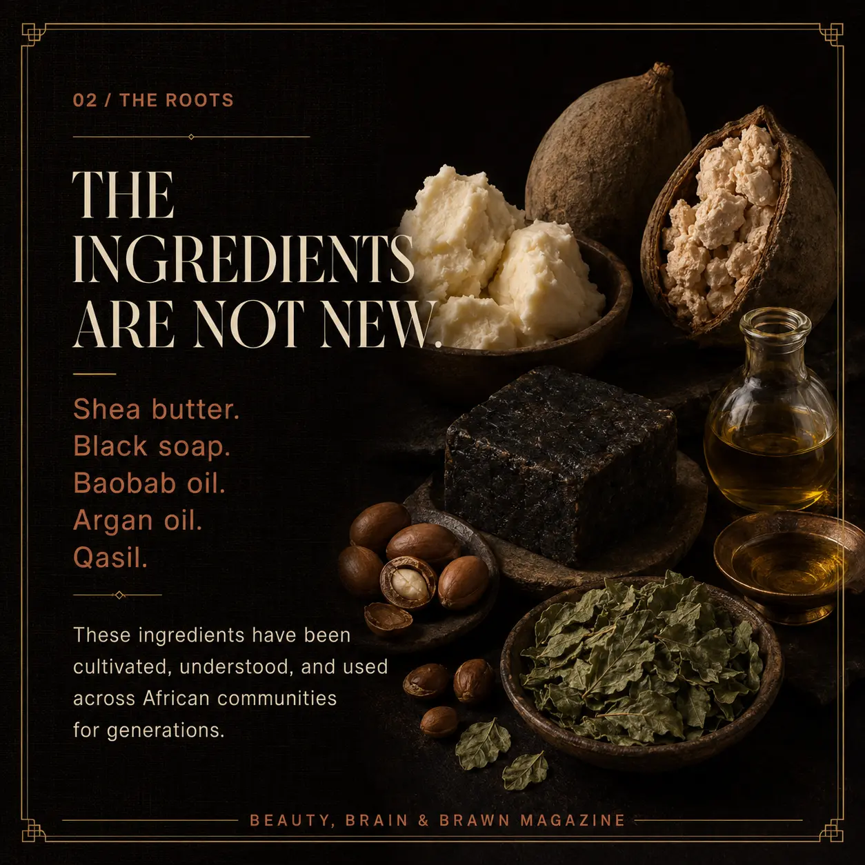 Slide 2. The Roots: the ingredients are not new. Shea butter, black soap, baobab oil, argan oil and qasil have been cultivated and used across African communities for generations.