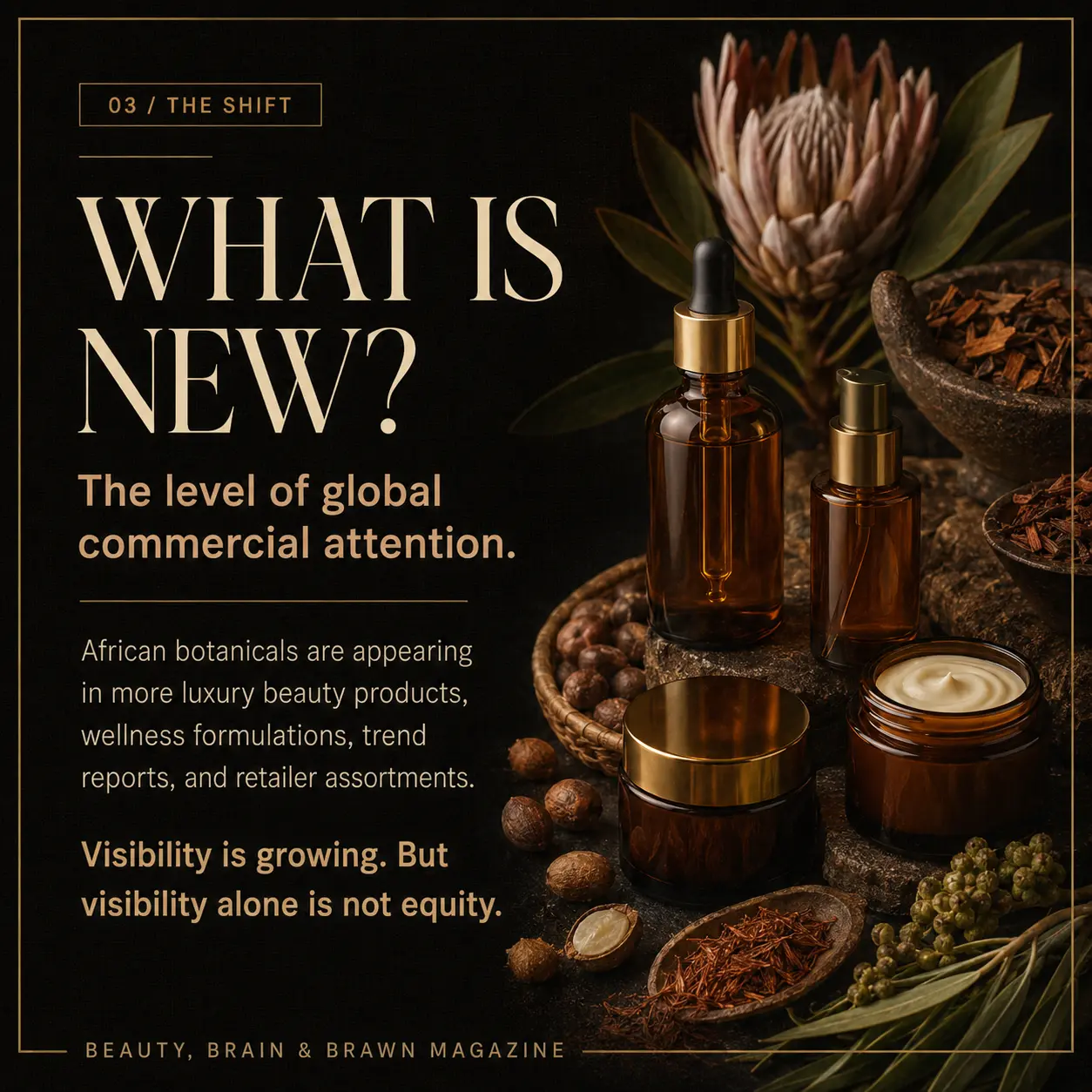 Slide 3. The Shift: what is new is the level of global commercial attention. African botanicals appear in more luxury products, but visibility alone is not equity.